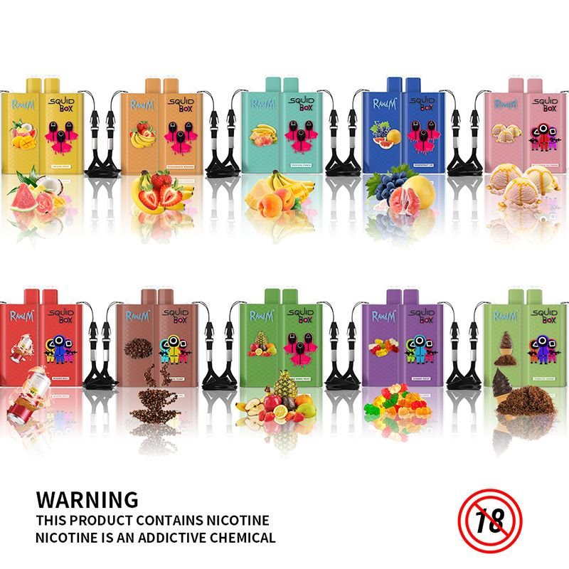 RandM SQUID BOX disposable vape
