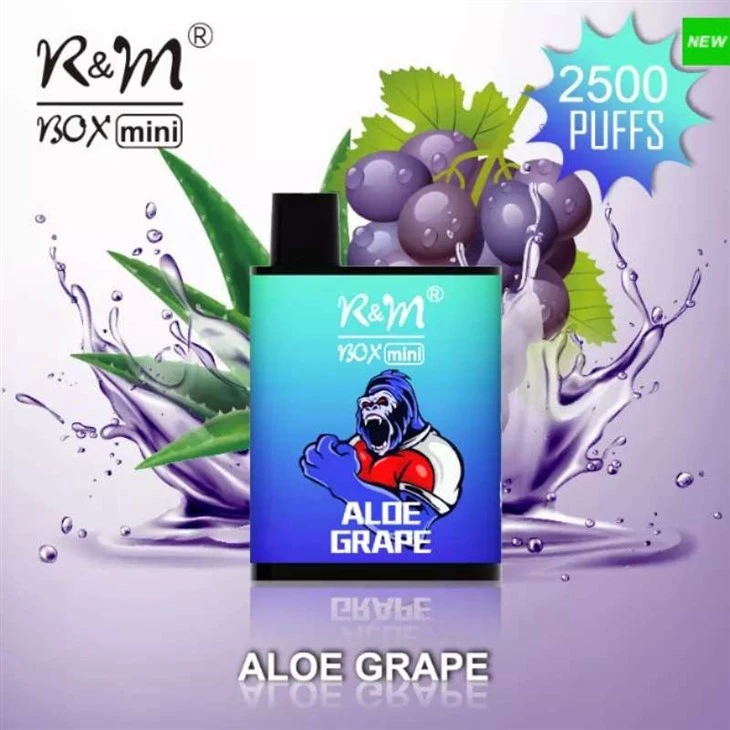 R&M BOX MINI 2500 puffs