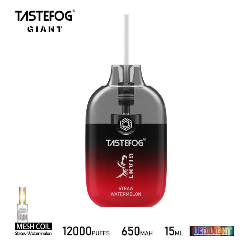 TASTEFOG GIANT 12000 TASTEFOG GIANT 12000